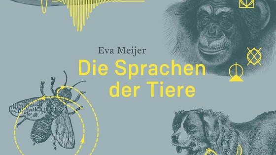 © Matthes & Seitz Berlin / Coverausschnitt